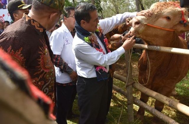 Bupati Bulukumba Sebut Bantuan Kementan Sudah Lama, Kenapa Sekarang Dipersoalkan?