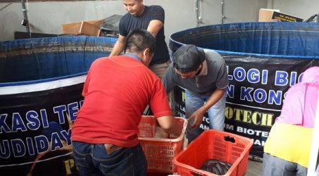 Persingkat Masa Pemeliharaan Ikan, Puspa Agro Uji Coba Sistem Bioflok