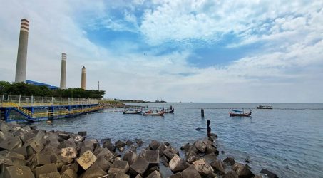 Ubur-Ubur Serang Paiton, PJB Jamin Ketersediaan Tenaga Listrik