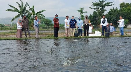 OJK dan Bank Jatim Survei Potensi Pemulihan Ekonomi Jatim