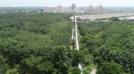 Pertama di Indonesia, SIG Gunakan Sistem Alur Mereklamasi Lahan Kapur Pascatambang