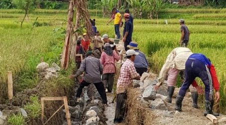 Rp 2,62 Triliun Padat Karya Tunai PUPR, Sasar 4.586 Desa 900 Kecamatan
