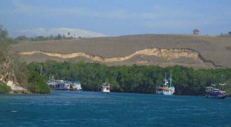 Ancaman Longsor Besar di Balik Keindahan Pulau Rinca Taman Nasional Komodo