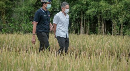 Sandiaga Akan Percepat Pemulihan Parekraf, Tingkatkan Pemanfaatan Platform Digital