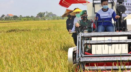 Jatim Tak Perlu Beras Impor, Stok Sangat Melimpah dan Surplus Sampai Mei 2021