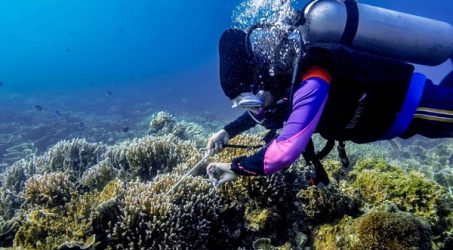 Sandiaga Optimis Pengembangan Infrastruktur KEK Tanjung Lesung Dongkrak Pariwisata