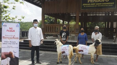 SIG Salurkan 280 Hewan Kurban ke Enam Provinsi