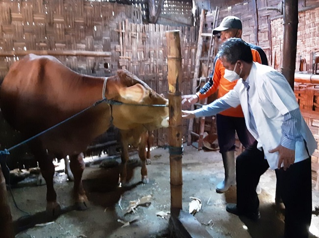 Prof Meles melihat sapi potong hasil inseminasi milik petani anggota Kelompok Ternak Sapi Potong Gunungrejo Makmur