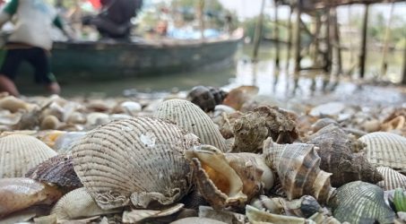 Semangat Ibu-Ibu Kalanganyar Mengolah Limbah Sisik Bandeng dan Kerang Jadi Cuan
