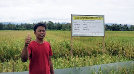 Kolaborasi Nestlé Indonesia dan IRRI Kurangi Emisi Karbon Produksi Beras