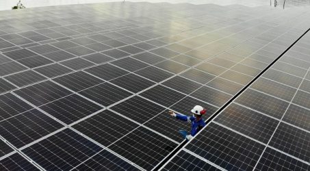 PJB Resmikan PLTS Bawean, Pilot Project Pengembangan Pembangkit Hybrid
