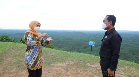 Tinjau IKN Baru, Gubernur Khofifah Usulkan Lokasi Strategis Kantor Badan  Perwakilan  Daerah