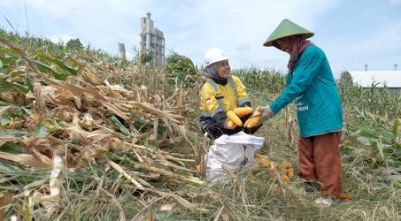 Semen Gresik Fasilitasi 361 Petani Sanggem Garap Lahan 119,25 Ha di Rembang