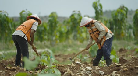 999 Bibit Pohon SIG untuk Restorasi Kampung Long Duhung Kalimantan Timur