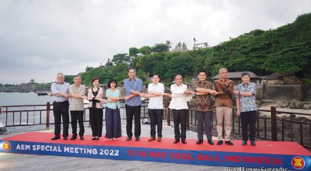 Mendag Lutfi Gelar Pertemuan Khusus Menteri Ekonomi ASEAN di Bali