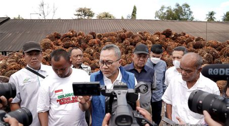 Stabilisasi Harga Migor, Mendag Zulhas Ajak Dialog Petani Sawit