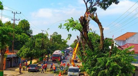 Hadapi Cuaca Ekstrem, Ini Imbauan PLN untuk Jaga Keselamatan Pelanggan