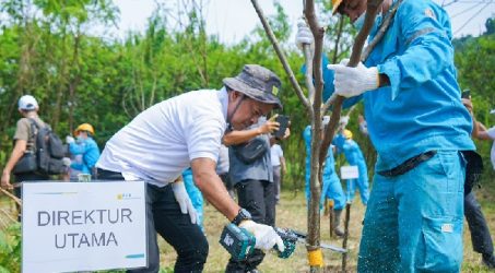 Dukung Dekarbonisasi, Kebun Kaliandra PLN Nusantara Power Siap Suplai Bahan Baku Co-firing