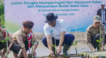 PLN Nusantara Power Tanam Satu Juta Pohon Peringati Hari Menanam Pohon