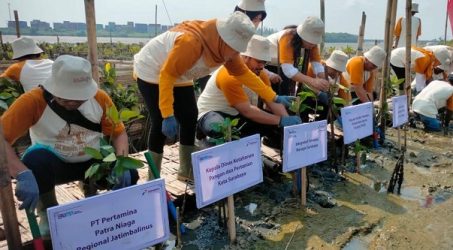 Peringati Bulan K3 Nasional, Pertamina Tanam 1000 Mangrove Dukung Pelestarian Lingkungan Kota Surabaya