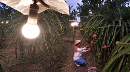 Dorong Perekonomian, PLN Pertahankan Tarif Listrik Triwulan I 2023