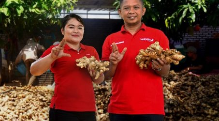 Bank Jatim Dukung PT Enha Sentosa Indonesia Ekspor Jahe ke Empat Negara