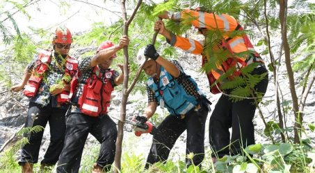Menuju Ekonomi Hijau, SIG Gunakan Biomassa Bahan Bakar Ramah Lingkungan 2,7 Juta Ton