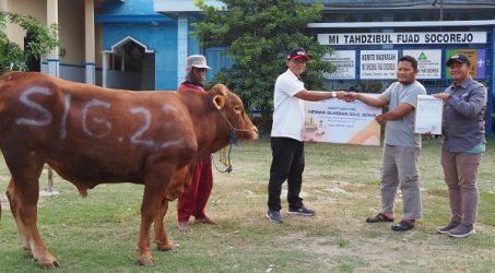 SIG Salurkan 489 Hewan Kurban di 20 Provinsi