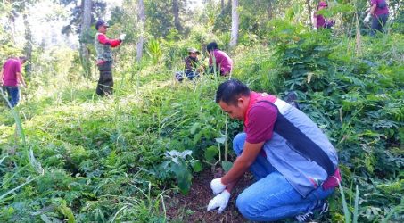 Pertamina Bantu 1.600 Bibit Pohon Kembangkan Konservasi Kehati Produktif di Karangasem Bali