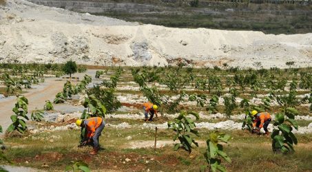 SIG Tanam Lebih dari 500 Ribu Pohon di Lahan Pascatambang Pabrik Tuban