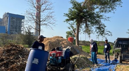PLN Nusantara Power Berhasil Kembangkan Agrikultur Terpadu Desa Energi di Tuban