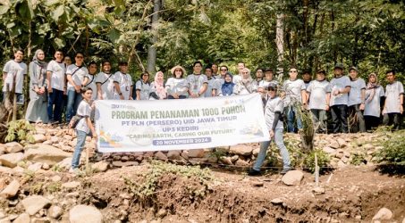 Jaga Keberlanjutan Ekosistem, PLN UID Jatim Tanam 1.000 Pohon