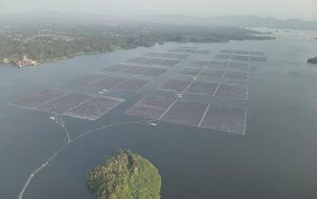 DEN Apresiasi PLN NP Kembangkan Energi Hybrid Cirata
