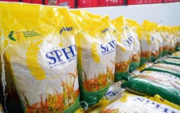 Harga Beras Merangkak Naik, BPS Pantau Inflasi Tahunan